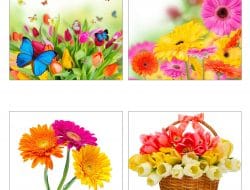 Красивые открытки с цветами без надписей